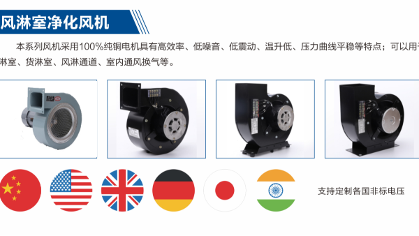藍(lán)天風(fēng)機(jī)支持定制進(jìn)出口非標(biāo)電壓風(fēng)淋室風(fēng)機(jī)